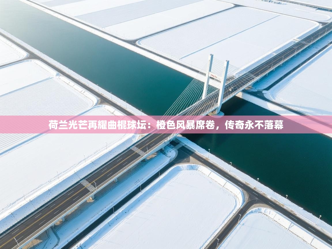 荷兰光芒再耀曲棍球坛：橙色风暴席卷，传奇永不落幕  第1张