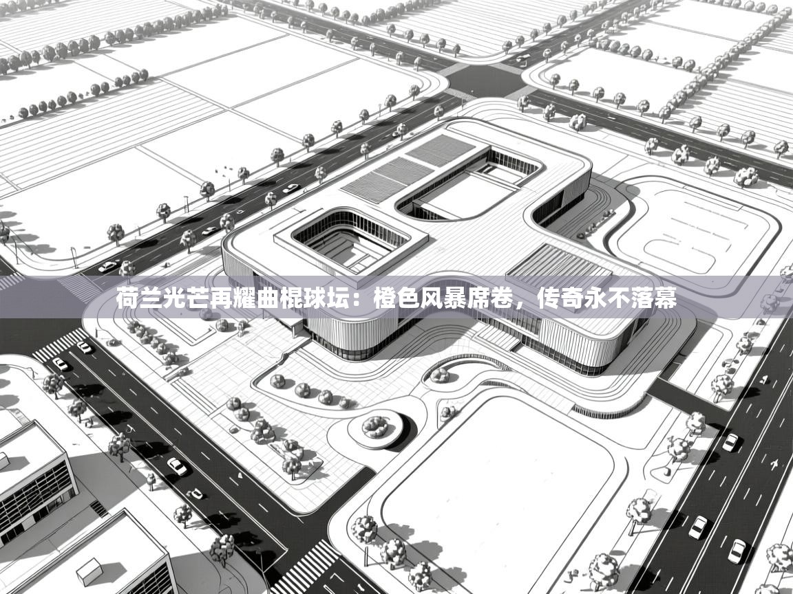 荷兰光芒再耀曲棍球坛：橙色风暴席卷，传奇永不落幕  第2张